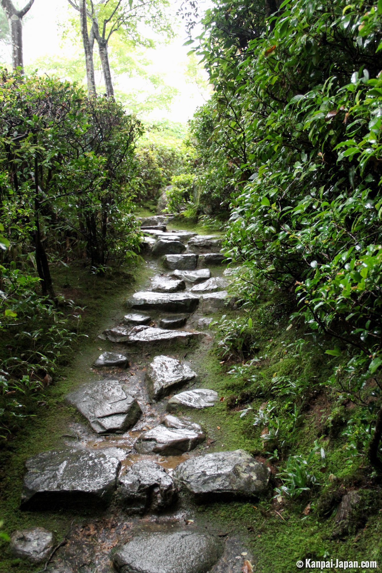 🏞️ 오코치산소 정원 이미지 8